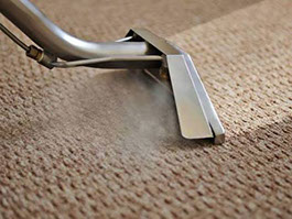 CARPET STEAM CLEANING SERVICE