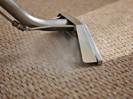 CARPET STEAM CLEANING SERVICE