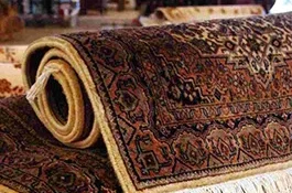 AREA RUG STEAM CLEANING SERVICE