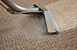 CARPET STEAM CLEANING SERVICE