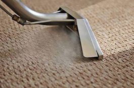 CARPET STEAM CLEANING SERVICE